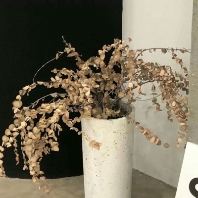 Furry绘画配色实用指南兽圈群